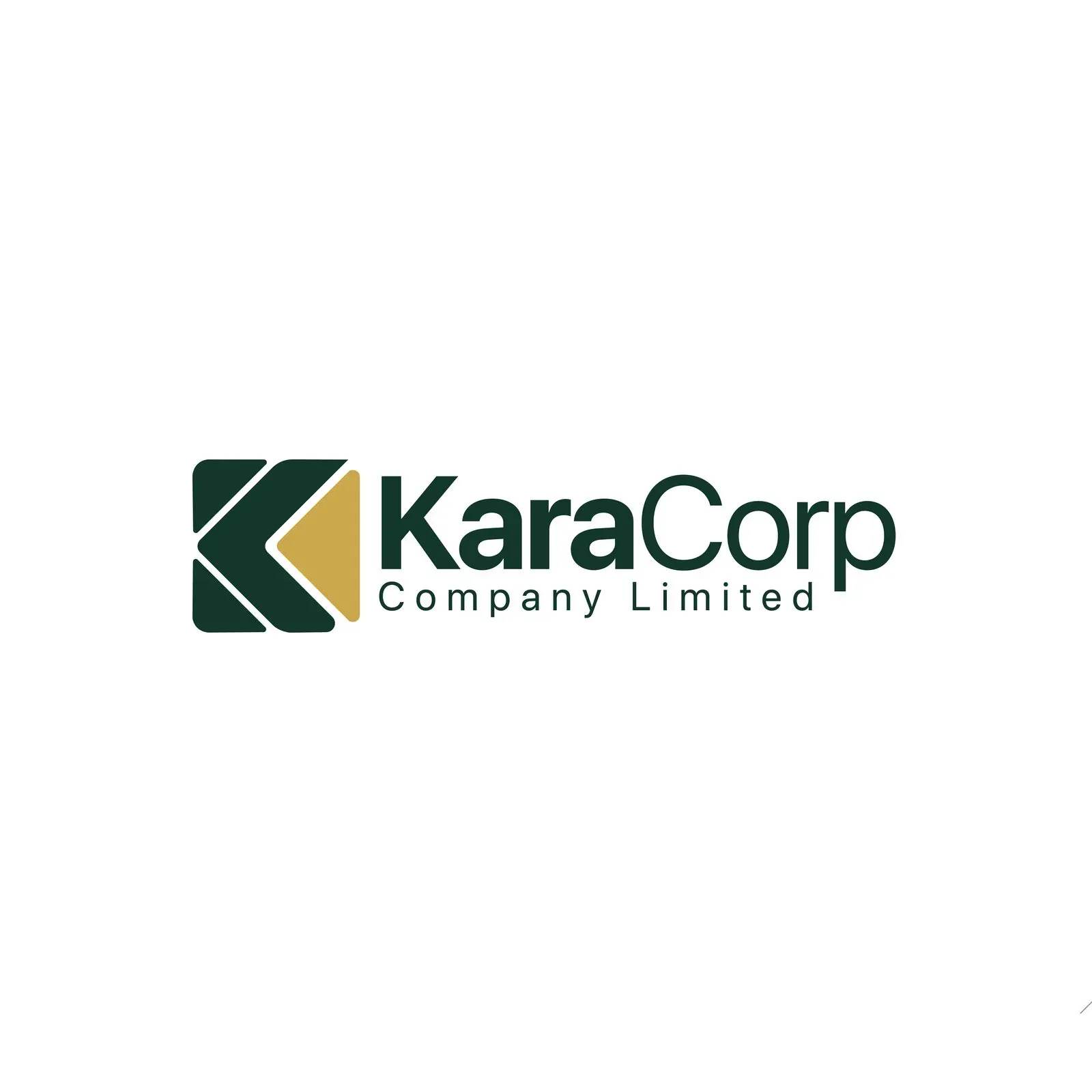 KaraCorp brand identity, image 1