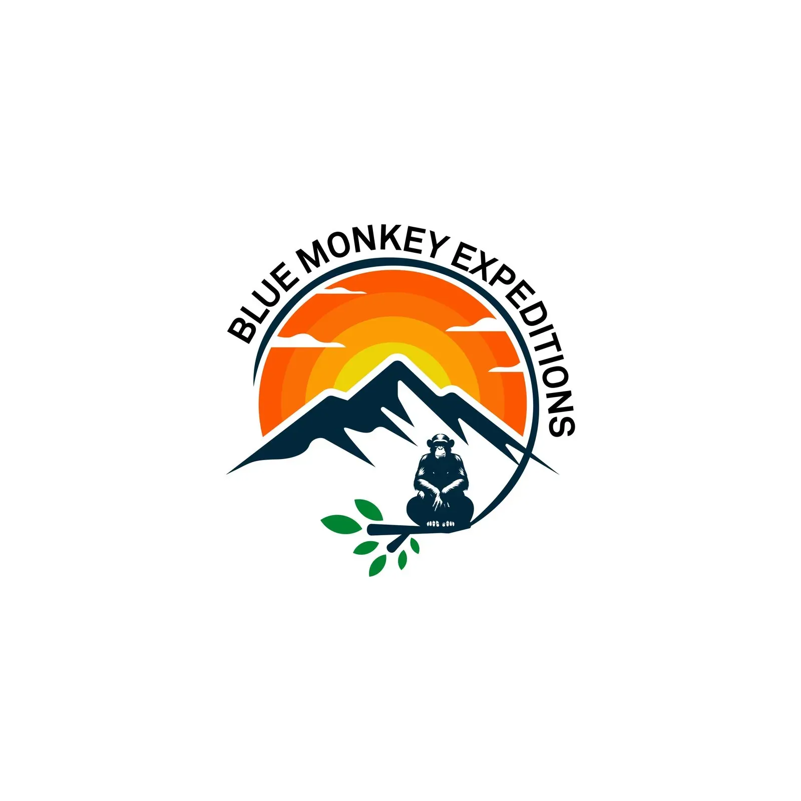 Blue Monkey Expeditions brand identity, image 1