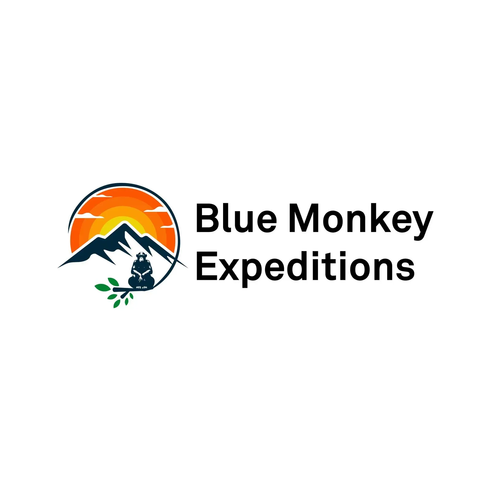 Blue Monkey Expeditions brand identity, image 2
