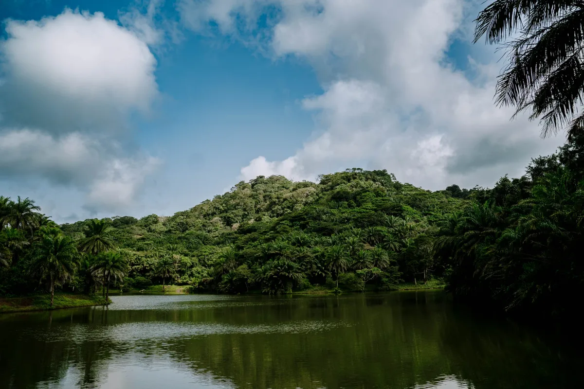 Forest-covered hills reflected in the lake at Magoroto