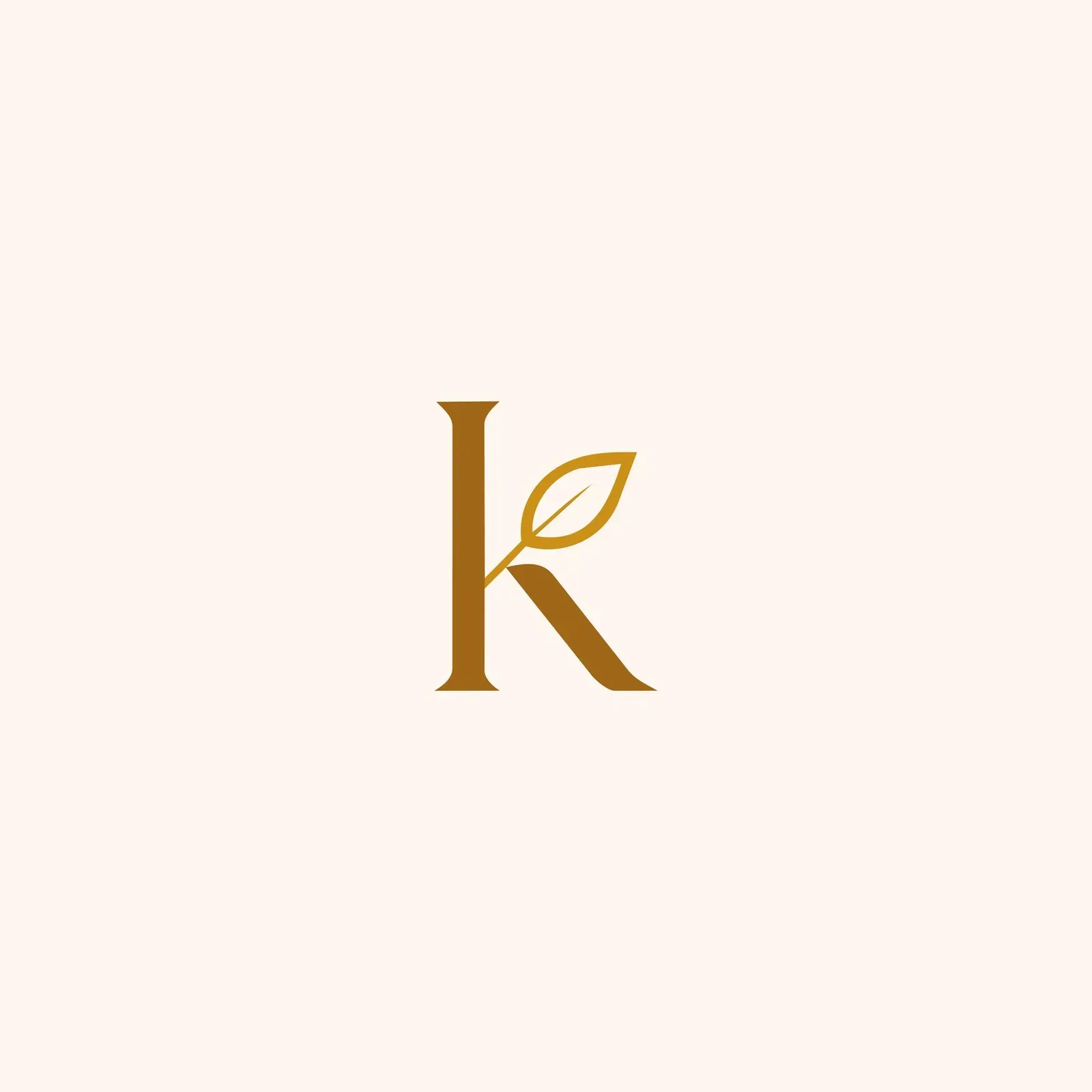 KaraSkin brand identity, image 2