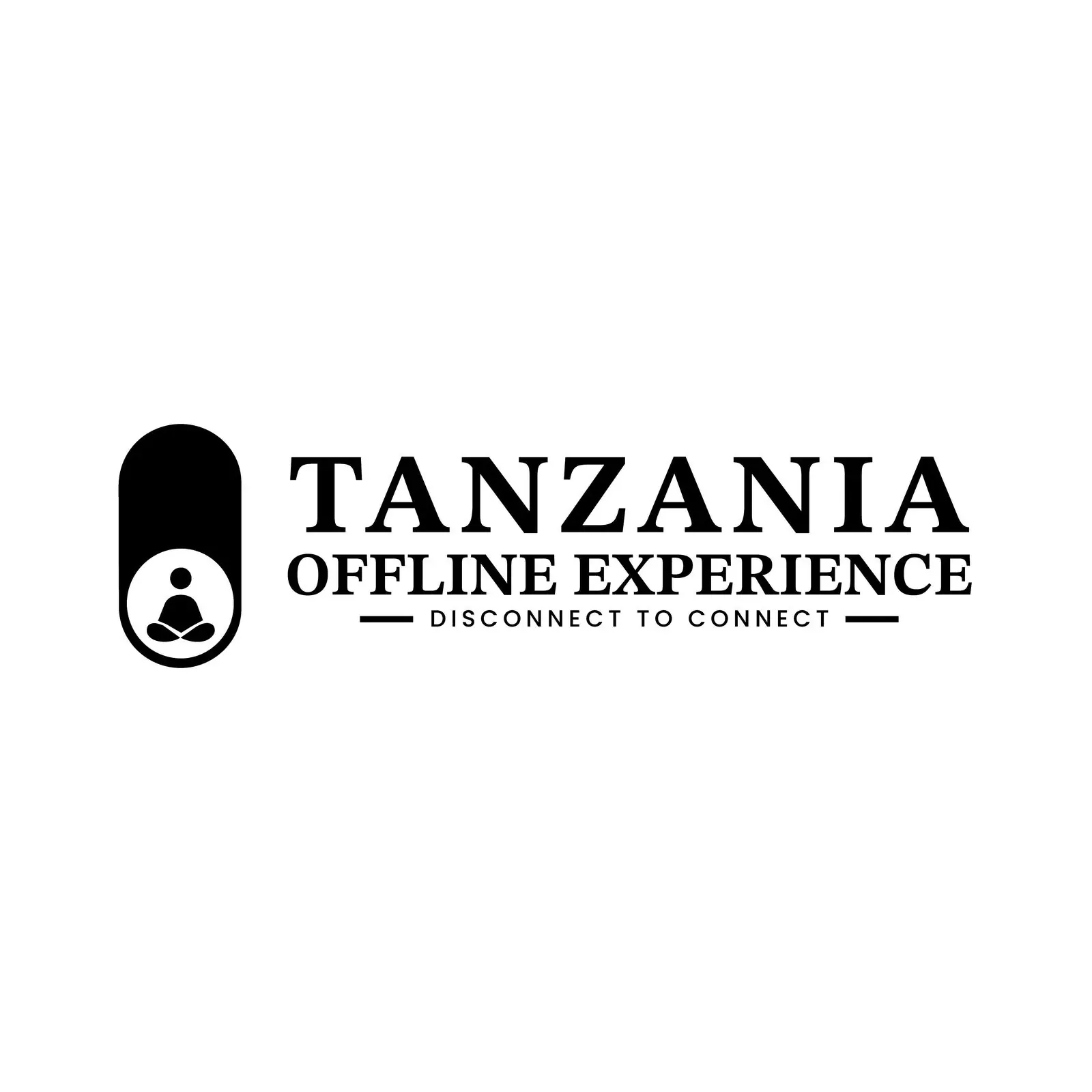 Tanzania Offline Experience brand identity, image 4