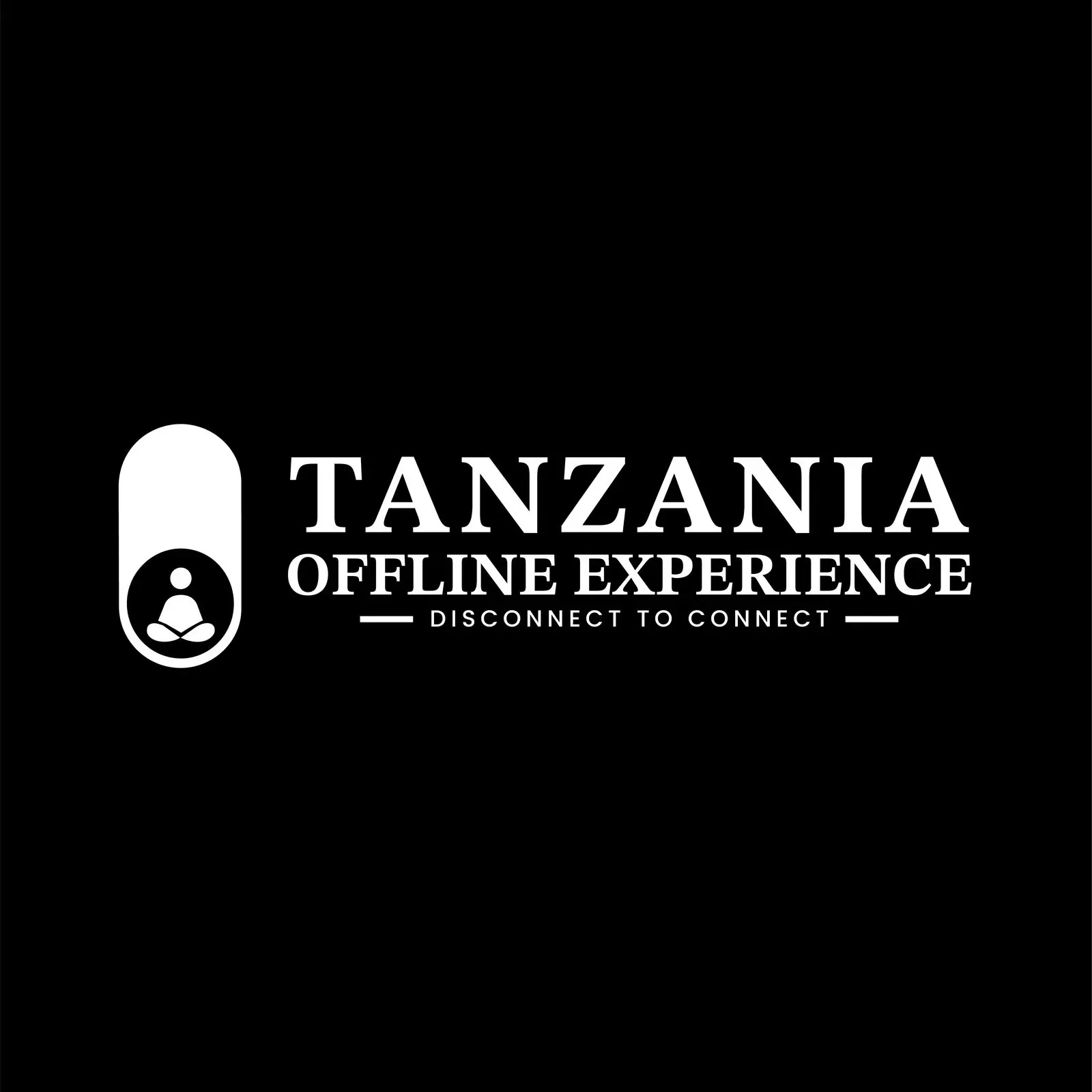 Tanzania Offline Experience brand identity, image 5
