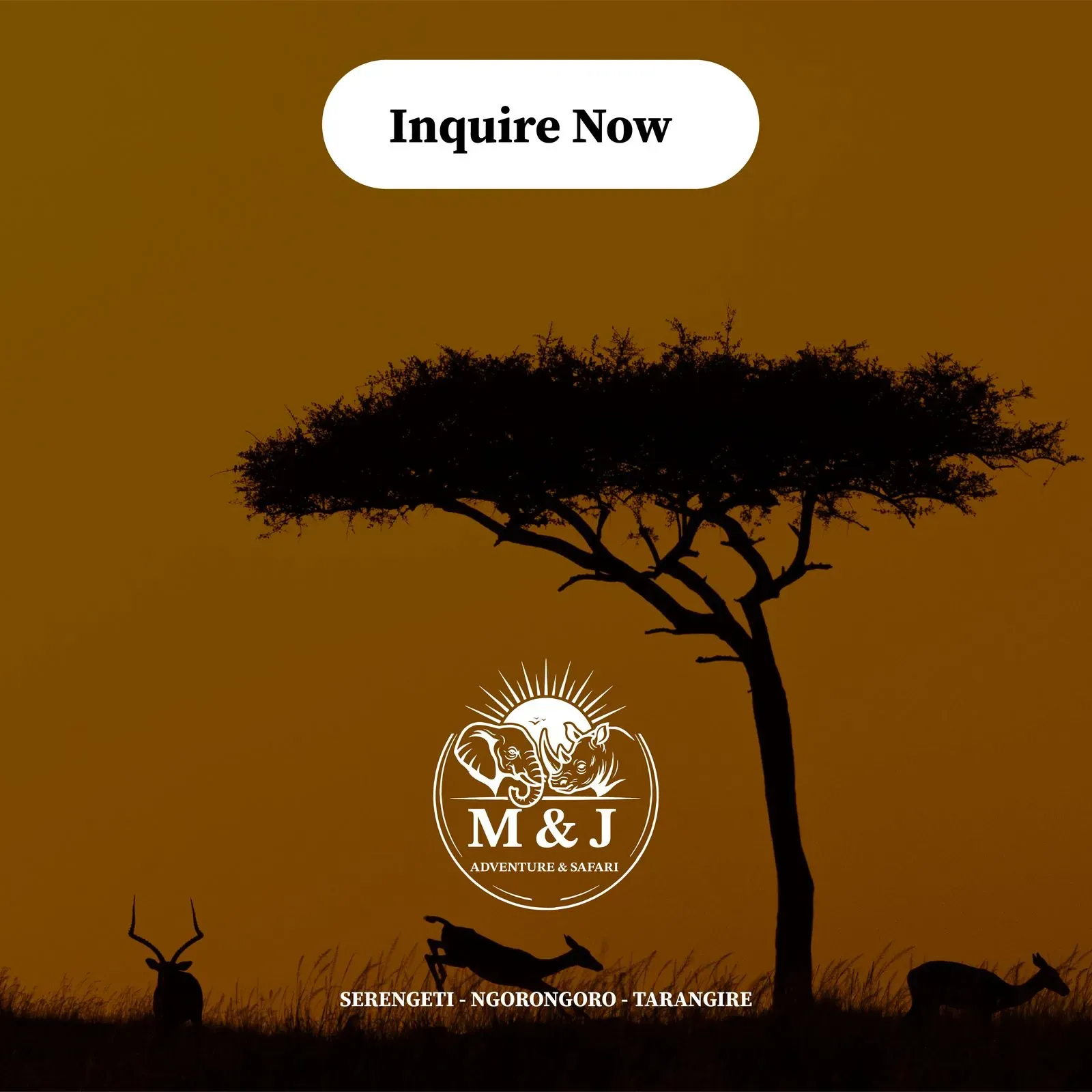 M&J Adventures brand identity, image 6