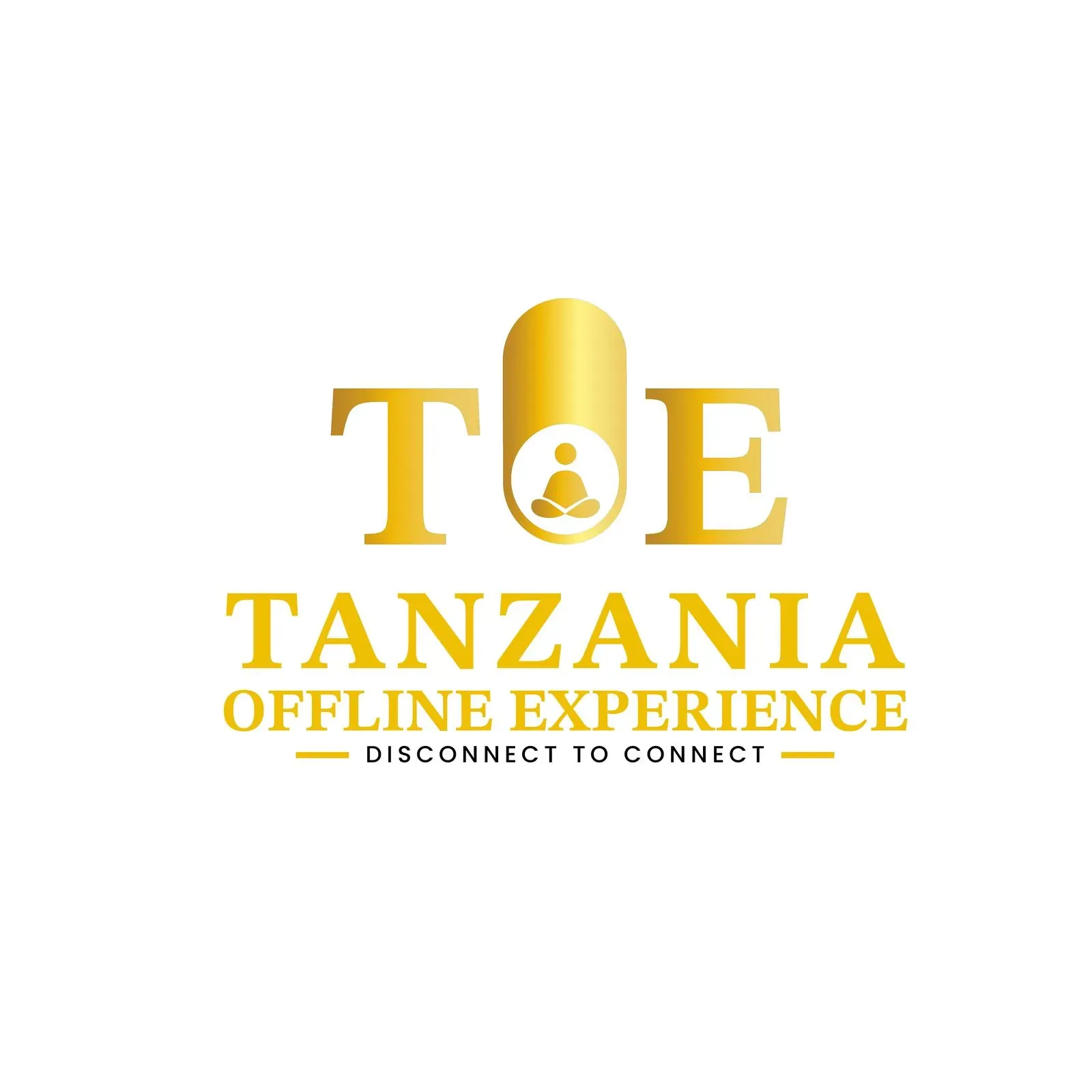 Tanzania Offline Experience brand identity, image 8