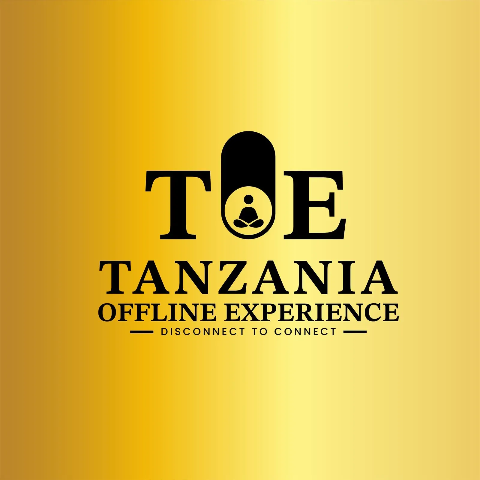 Tanzania Offline Experience brand identity, image 9