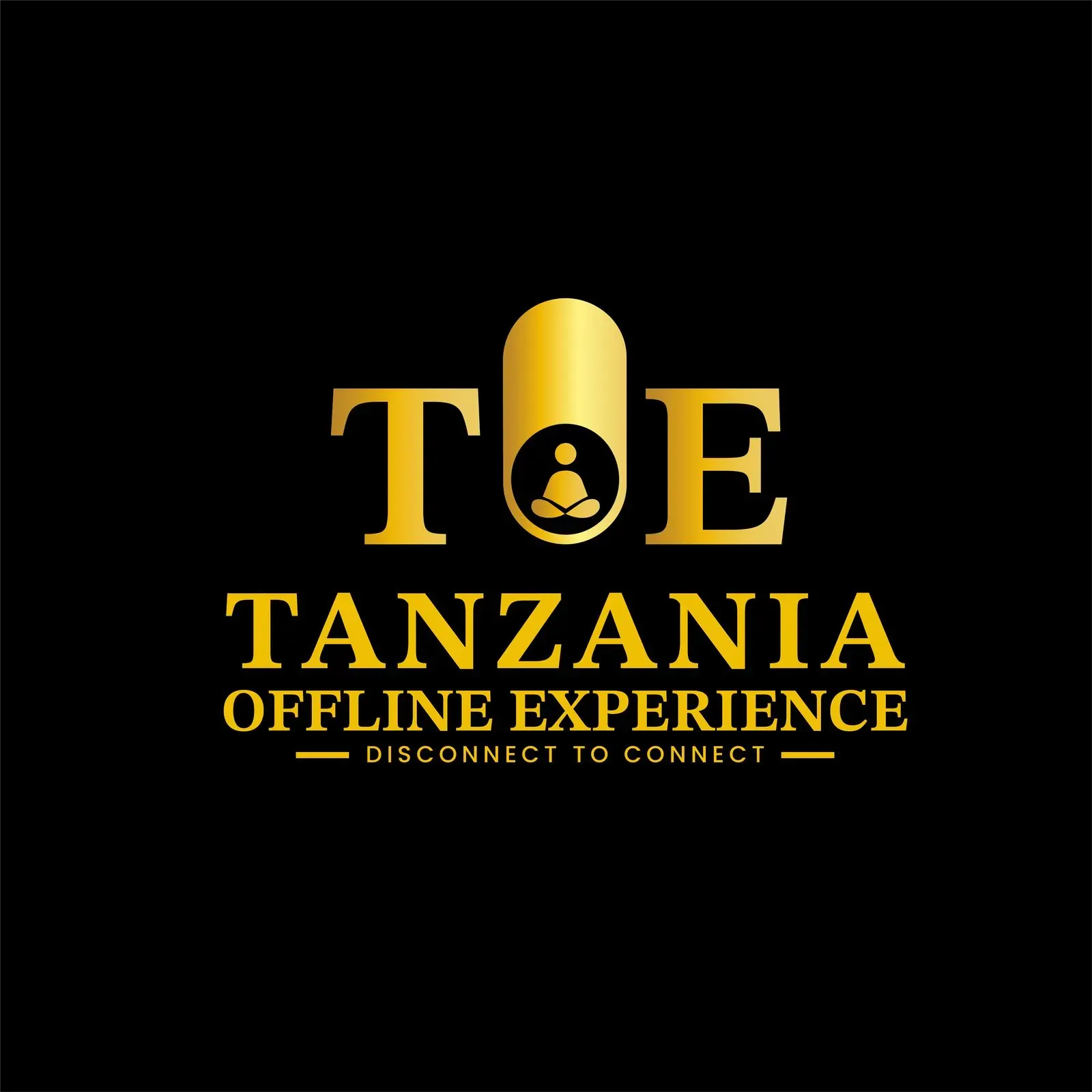 Tanzania Offline Experience brand identity, image 10