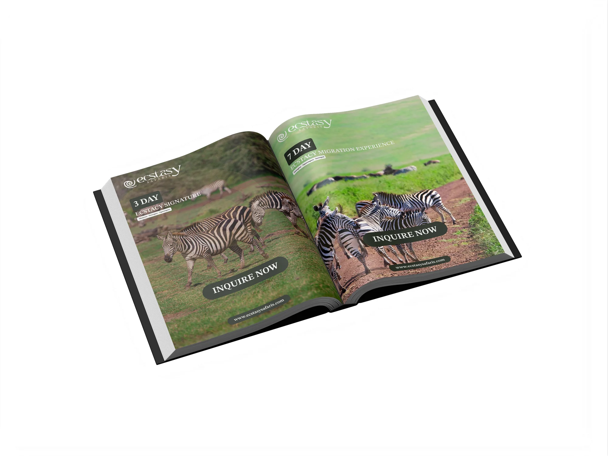 Ecstasy Safaris open book mockup
