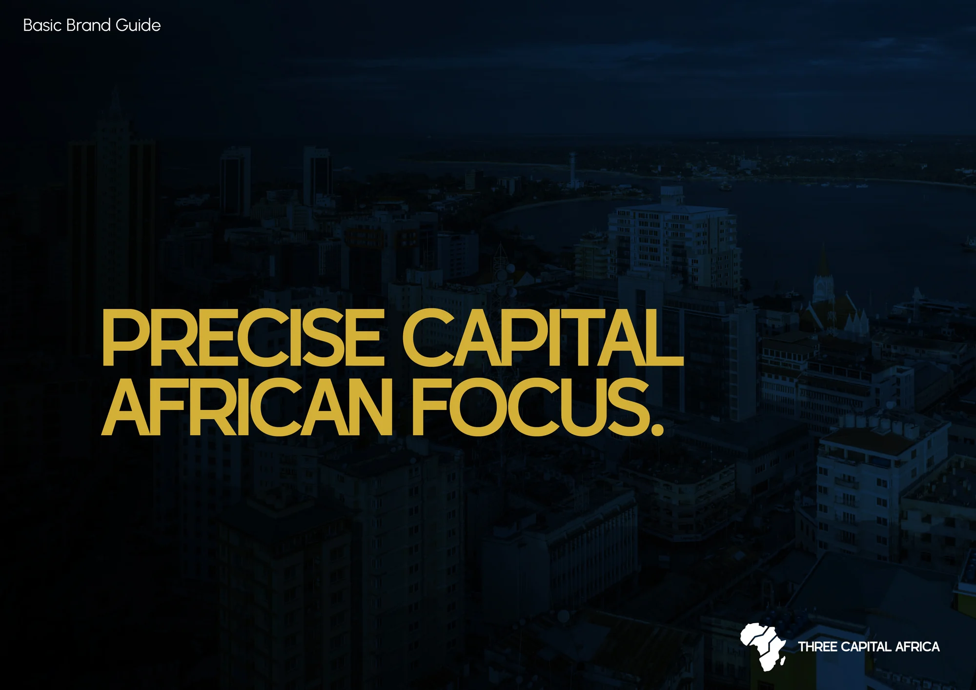 Three Capital Africa brand guide opening page