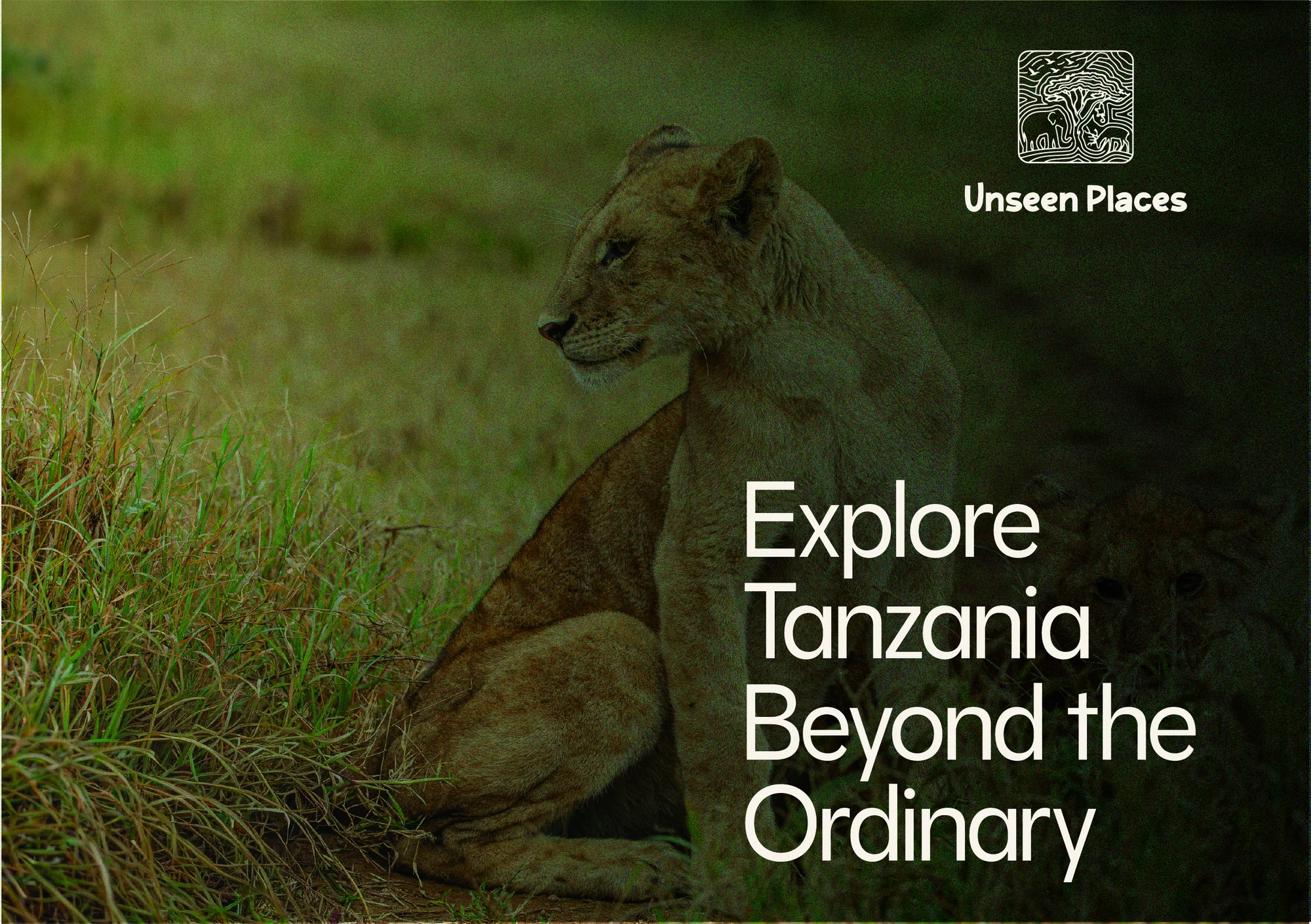 Unseen Places Safaris book mockup